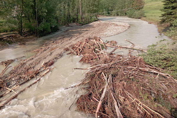 La raccolta del legname presente in un corso d'acqua